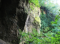 AS_S3948a.jpg