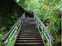 AS_S3973a.jpg