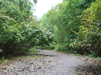 AS_S3988a.jpg