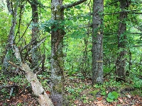 AS_S3985a.jpg