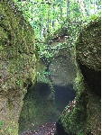 AS_S3946a.jpg