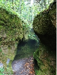 AS_S3956a.jpg