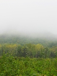AS_S3991a.jpg