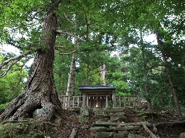 AS_S0941.JPG