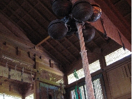 IMG_8546.JPG