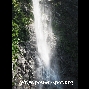 kumanonachi9104.jpg