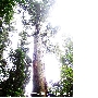IMG_9085ok.jpg
