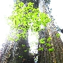 haruna_5663.jpg