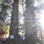 kawaguchi0681.jpg