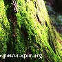 tamaki8861.jpg