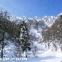 togakusi0284.jpg