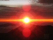sun_3142ok.jpg