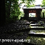 kasamori.jpg