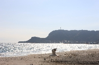 AS_S3994a.jpg
