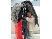 img004.jpg