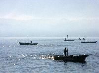 nakaumi3454.jpg