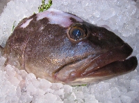 babaa_7439.JPG