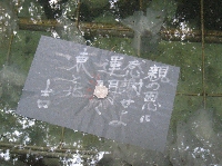 yaegaki7509.JPG