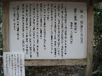 yaegaki_7500.JPG