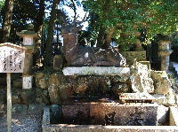 AS_S6476.JPG