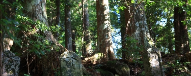AS_S9109name.jpg