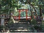 AS_S6541.JPG