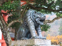 AS_S2972.jpg