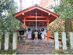 AS_S2950.JPG