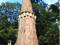 AS_S3135.JPG