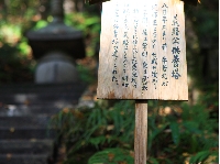 AS_S3122.JPG