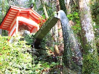 AS_S3165.JPG