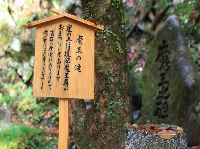 AS_S3160.JPG