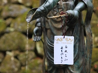 AS_S3025.JPG