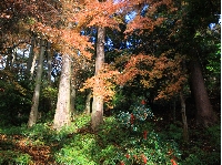 AS_S3083.JPG