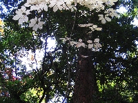 IMG_8371.jpg