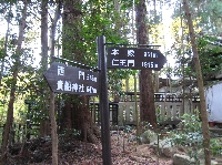 IMG_8384.JPG