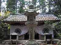 IMG_8387.jpg