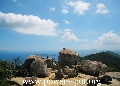 IMG_0180misen.jpg