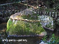 tumakirisima_9752.jpg