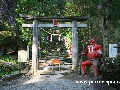 tumakirisima_4410.jpg