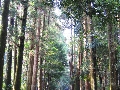 sano_9475.jpg