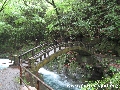 amanoiwato_9157.jpg