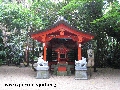 aoshima_8696.jpg