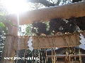 heitate_0123.jpg