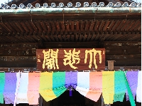 AS_S6445.JPG