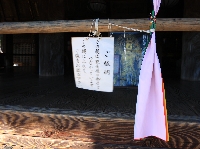 AS_S6447.JPG