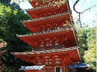 AS_S6455.JPG