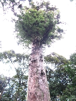 IMG_0516.JPG