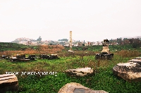AS_S3325b.jpg