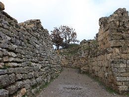 AS_S3331.JPG